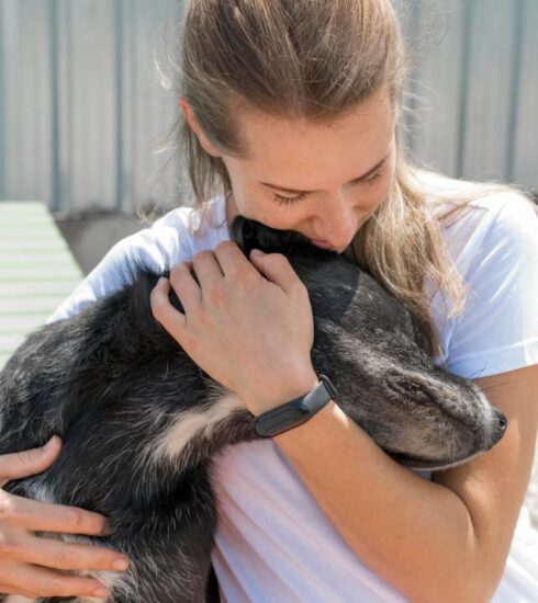 Defesa Animal recebe feira de adoção na quarta-feira (19)