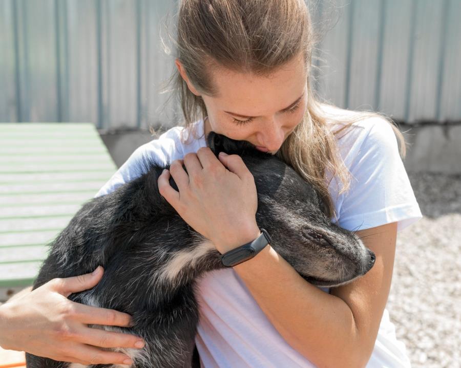 Defesa Animal recebe feira de adoção na quarta-feira (19)