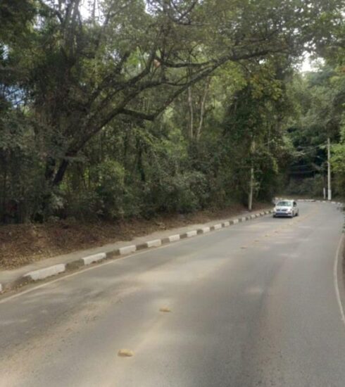 Equipes de Zeladoria realizam mutirão de serviços na “Serrinha” da Avenida Lucas Nogueira Garcez no dia 10 de dezembro