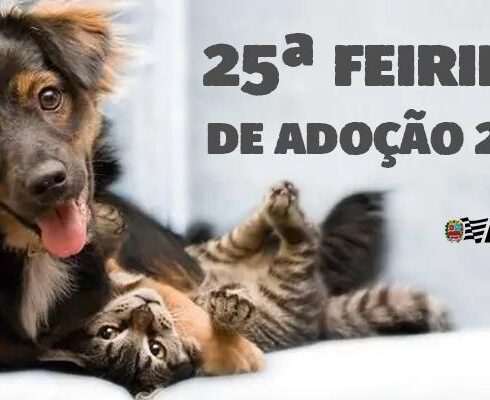 Defesa Animal recebe feira de adoção na quarta-feira (10)