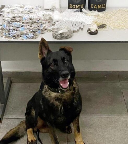 Equipes do Canil e ROMU, da GCM, apreendem grande quantidade de drogas em área de mata no Caetetuba