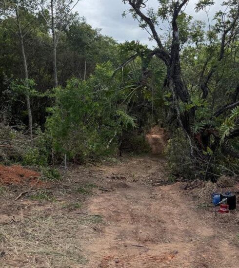 Prefeitura atende denúncia e autua responsáveis por irregularidades ambientais no Laranjal