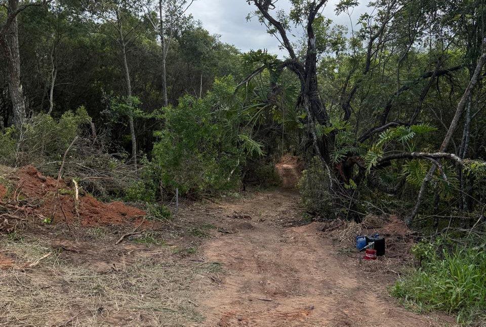 Prefeitura atende denúncia e autua responsáveis por irregularidades ambientais no Laranjal