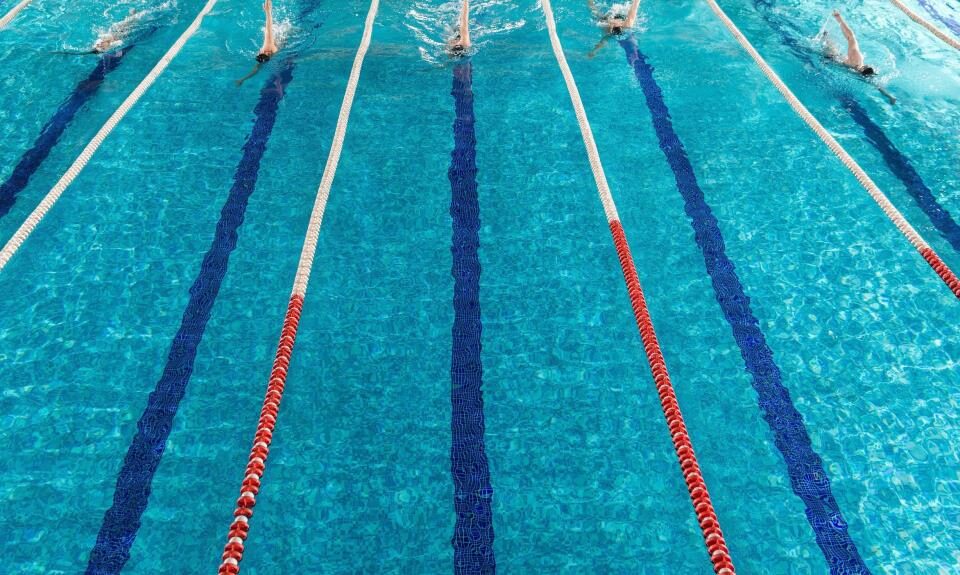 Treino aberto de Natação para apresentar novo projeto da modalidade para 2026 acontece em fevereiro