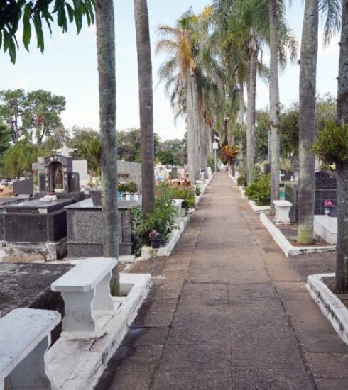 Prefeitura orienta sobre a necessidade de conservação dos túmulos nos cemitérios municipais