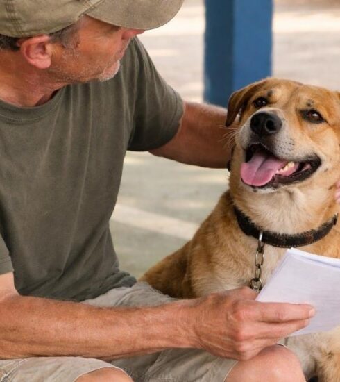 Prefeitura orienta sobre faltas registradas em mutirão de castração e reforça importância do compromisso dos tutores