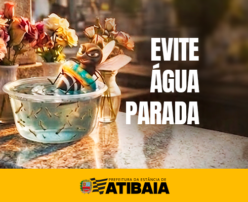 Prefeitura orienta sobre cuidados nos cemitérios para evitar proliferação do mosquito da dengue