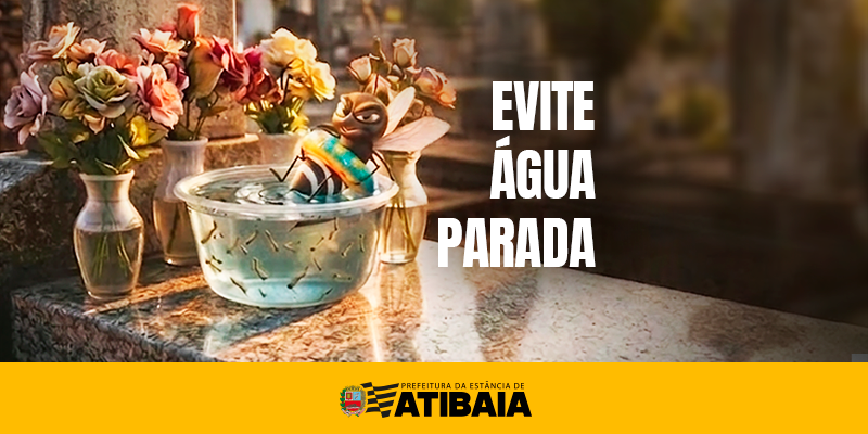 Prefeitura orienta sobre cuidados nos cemitérios para evitar proliferação do mosquito da dengue