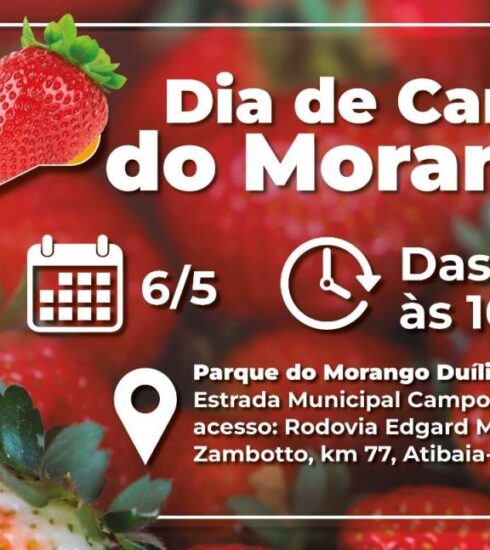 “Dia de Campo do Morango” orienta produtores sobre manejo e uso seguro de defensivos em Atibaia