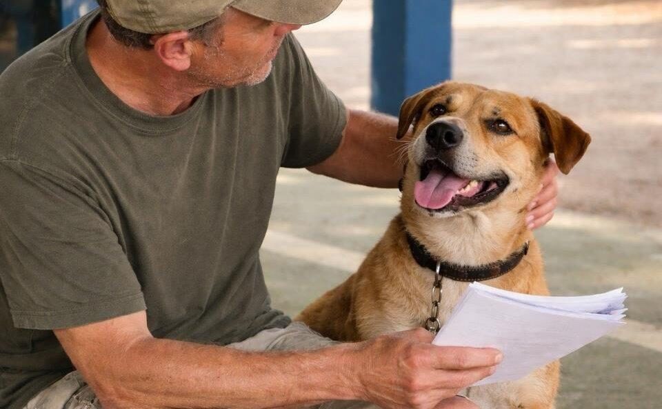 Prefeitura de Atibaia abre inscrições para mutirão de castração de cães e gatos no dia 25 de maio