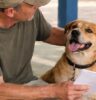 Prefeitura de Atibaia abre inscrições para mutirão de castração de cães e gatos no dia 25 de maio Prefeitura de Atibaia abre inscrições para mutirão de castração de cães e gatos no dia 25 de maio