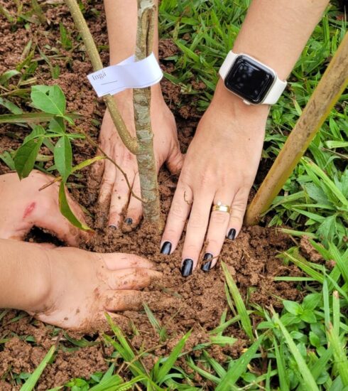 Fórum de Atibaia recebe plantio de árvores nativas em ação de educação ambiental