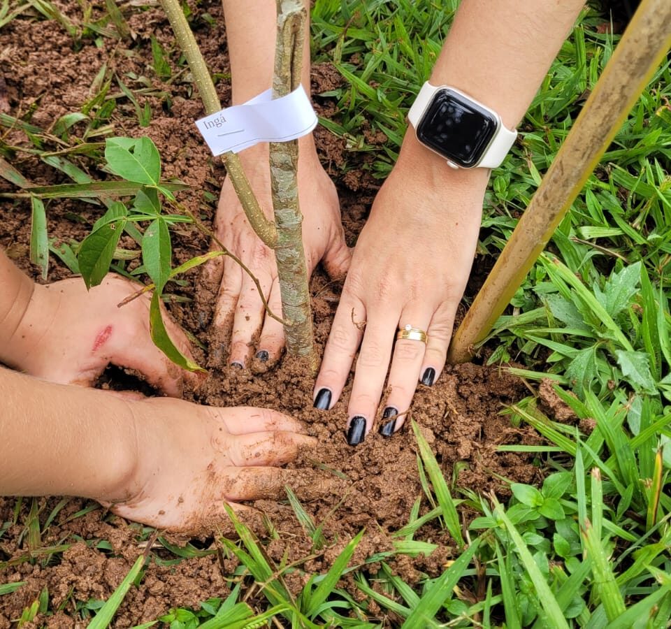 Fórum de Atibaia recebe plantio de árvores nativas em ação de educação ambiental