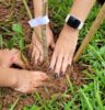 Fórum de Atibaia recebe plantio de árvores nativas em ação de educação ambiental