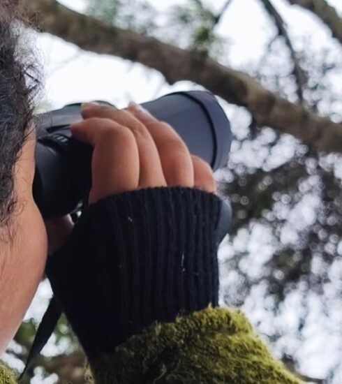 Alunos da rede municipal participam de atividade de observação de aves na Semana do Meio Ambiente