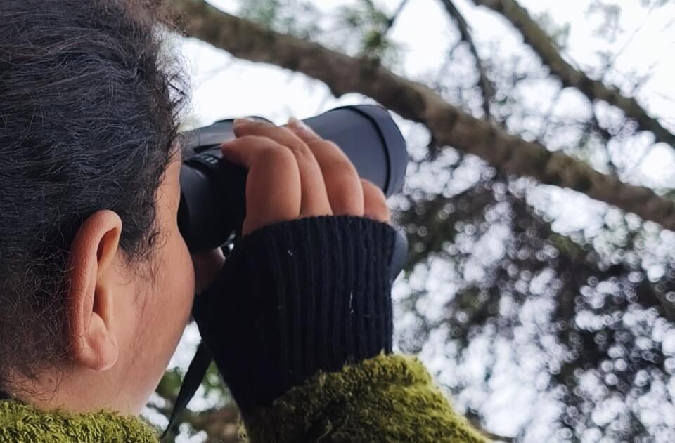 Alunos da rede municipal participam de atividade de observação de aves na Semana do Meio Ambiente