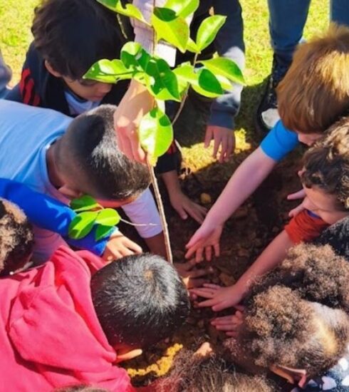 O despertar ecológico na primeira infância: crianças plantam o futuro com ações de educação ambiental em Atibaia