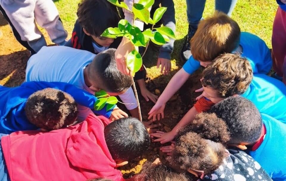 O despertar ecológico na primeira infância: crianças plantam o futuro com ações de educação ambiental em Atibaia