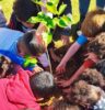 O despertar ecológico na primeira infância: crianças plantam o futuro com ações de educação ambiental em Atibaia
