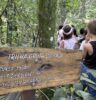 Semana do Meio Ambiente une ciência e natureza em atividades especiais para alunos da rede municipal