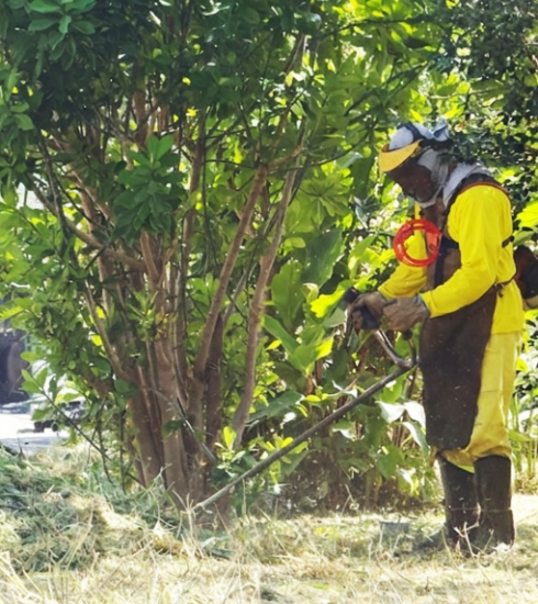 Mais de 1,6 milhão de m² roçados: Atibaia intensifica zeladoria para garantir segurança e saúde nos bairros