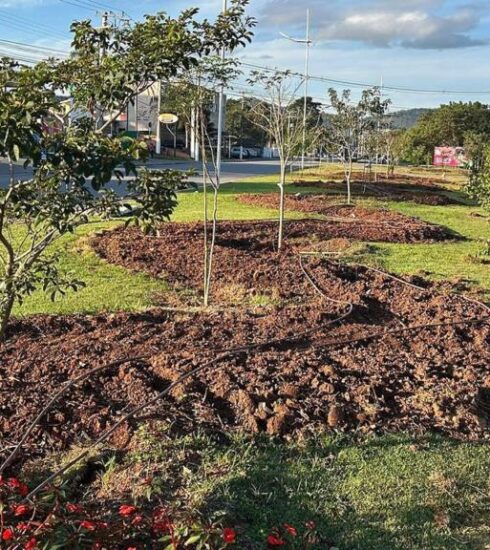 Prefeitura realiza plantio de 400 mudas e reforça ações de arborização urbana em Atibaia