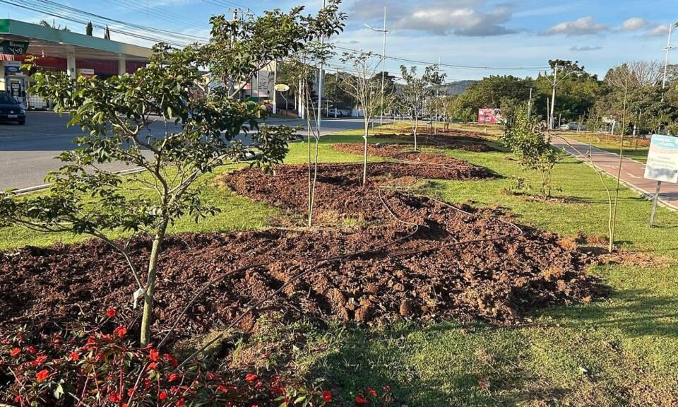 Prefeitura realiza plantio de 400 mudas e reforça ações de arborização urbana em Atibaia
