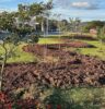 Prefeitura realiza plantio de 400 mudas e reforça ações de arborização urbana em Atibaia