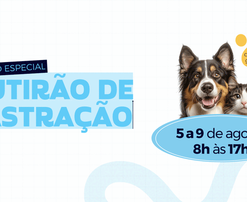 Edição especial do Mutirão de Castração oferecerá 1.600 vagas gratuitas em Atibaia