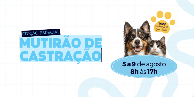 Edição especial do Mutirão de Castração oferecerá 1.600 vagas gratuitas em Atibaia Edição especial do Mutirão de Castração oferecerá 1.600 vagas gratuitas em Atibaia