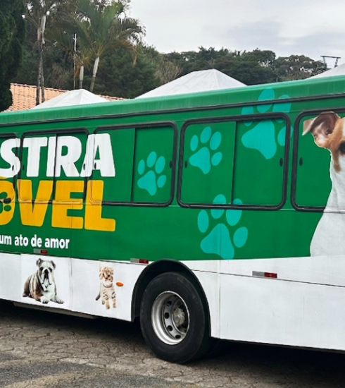 Mutirão de Castração segue com inscrições abertas e ainda tem 600 vagas disponíveis em Atibaia