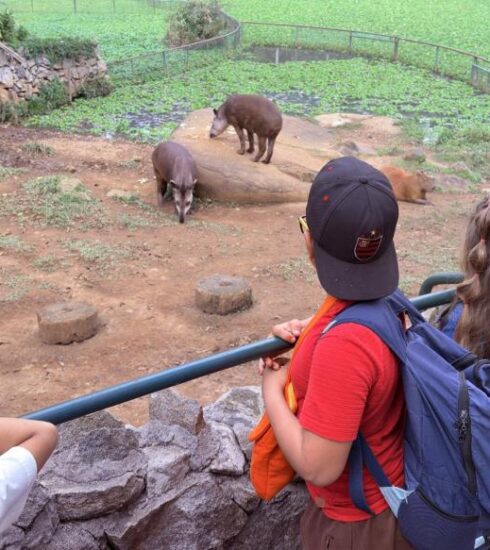 Secretaria de Educação de Atibaia leva quase 1,8 mil alunos do 2º ano ao Zoológico de São Paulo em expedição pedagógica