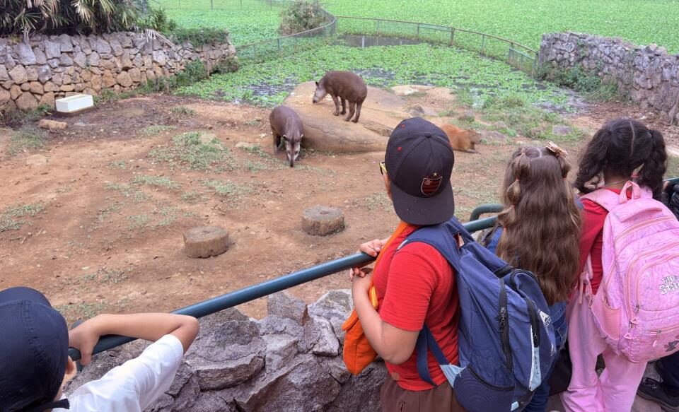 Secretaria de Educação de Atibaia leva quase 1,8 mil alunos do 2º ano ao Zoológico de São Paulo em expedição pedagógica