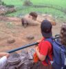 Secretaria de Educação de Atibaia leva quase 1,8 mil alunos do 2º ano ao Zoológico de São Paulo em expedição pedagógica