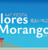 44ª Festa de Flores e Morangos de Atibaia tem início nesta sexta-feira