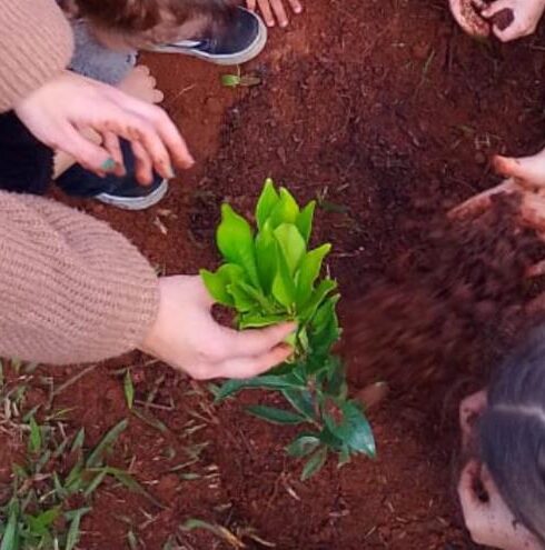 Programação especial marca Semana da Árvore com plantios e ações ambientais em Atibaia