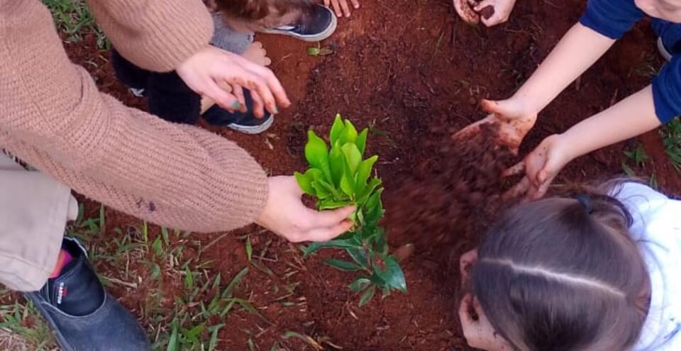 Programação especial marca Semana da Árvore com plantios e ações ambientais em Atibaia Programação especial marca Semana da Árvore com plantios e ações ambientais em Atibaia