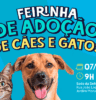 Defesa Animal promove 20ª Feirinha de Adoção 2026 no próximo dia 7 Defesa Animal promove 20ª Feirinha de Adoção 2026 no próximo dia 7