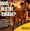 Animal silvestre em área urbana: saiba como agir
