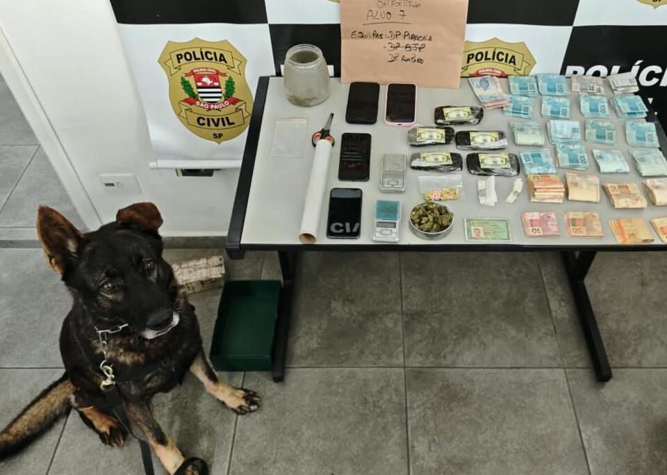 Operação conjunta entre GCM e Polícia Civil cumpre mandados e apreende drogas em Atibaia