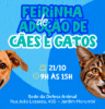 Defesa Animal promove 21ª Feirinha de Adoção 2026 no próximo dia 21