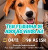 Atibaia promove 22ª Feirinha de Adoção de cães e gatos