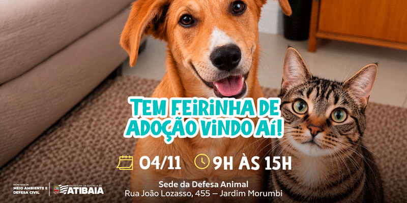 Atibaia promove 22ª Feirinha de Adoção de cães e gatos